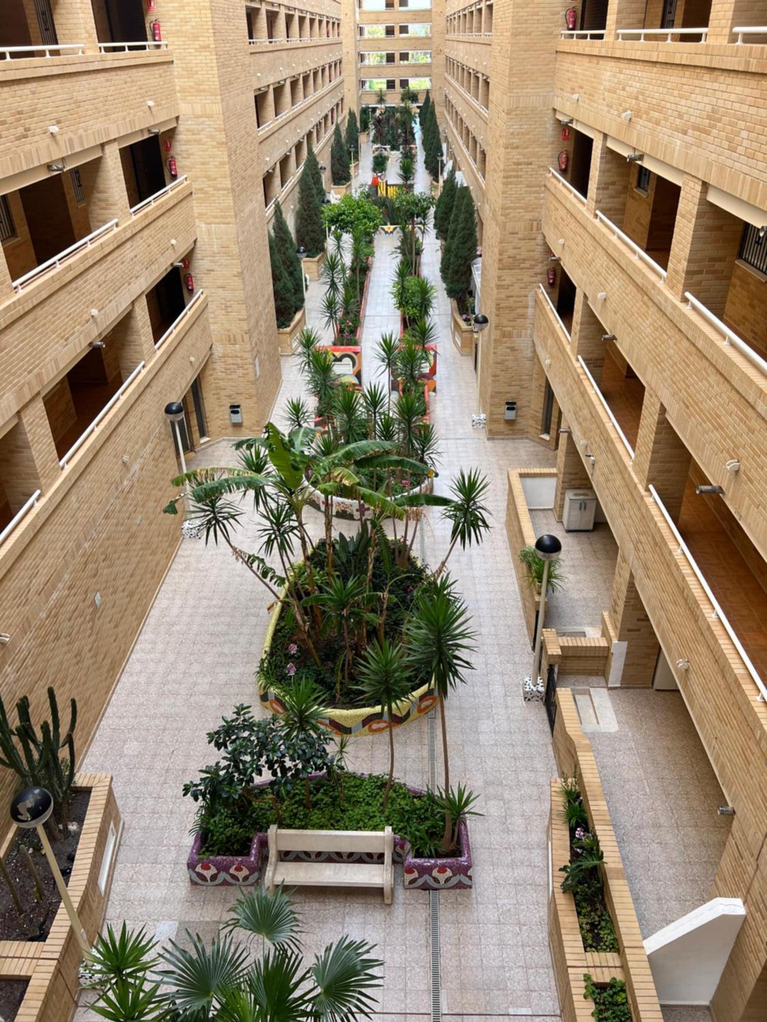 Apartamento Oropesa Marinador Oropesa del Mar Exteriér fotografie